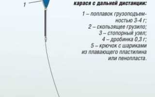 Охота и рыбалка → Вытащить рыбку из пруда: как происходит прудовое рыбоводство