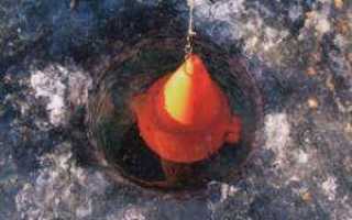 Прикормка для зимней рыбалки на плотву