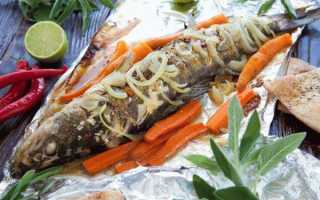 Как приготовить щуку по пошаговым рецептам в домашних условиях с фото