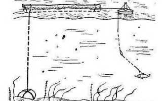 Как ловить на бутылку — щуку, судака, налима