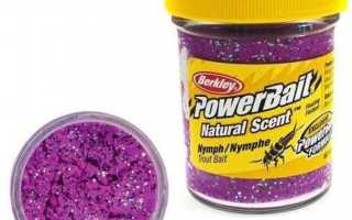 Berkley Nymph для успешной рыбалки