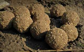 Снасти для ловли карпа, какие бывают?