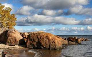 Рыбалка в Архангельске и Архангельской области