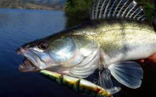 Инструкция по изготовлению народной мормышки «хрень»