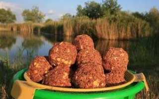 Ловля белого амура на фидер