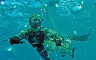 Подводная охота на Черном море весной