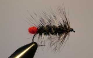 Как ловить голавля нахлыстом?