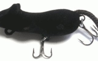 Как ловить ленка — сезоны, оснастка, приманки