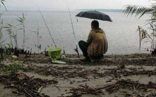 Когда лучше ловить рыбу