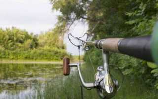 Ловля леща на фидер