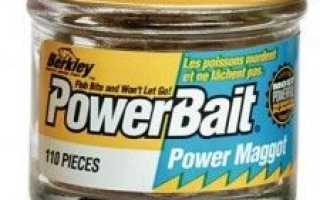 Опарыш Berkley для успешной рыбалки