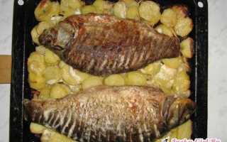 Язь в духовке