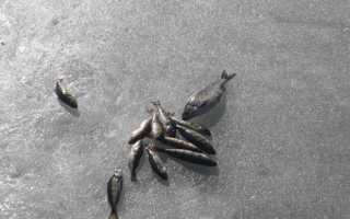 Рыбалка в декабре