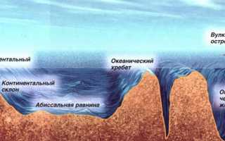 Рельеф переходной зоны дна мирового океана
