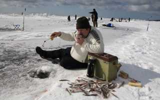 Ловля корюшки зимой