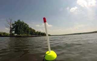 Как ловить толстолобика на снасть убийца толстолоба?