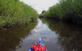Река ирбе балтийское море