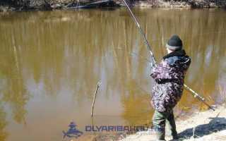 На что лучше ловить карася? Выбор снасти и приманки