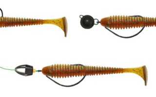 Слаги и свимбейты Damiki Shad для рыбалки