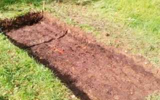 Коптилка для рыбы своими руками