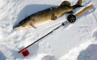 Истринское водохранилище — какие есть ограничения для рыбаков?