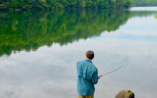 Бисеровский рыбокомбинат: платная рыбалка, услуги, отзывы и контакты