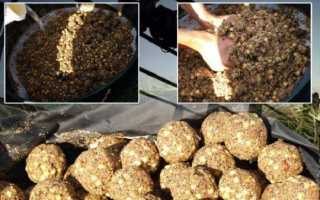 Ловля карпа на горох