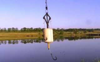 Ловля толстолобика