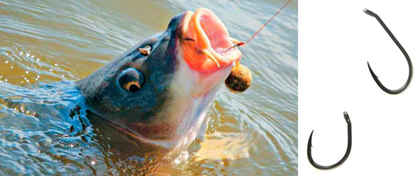 Карповый крючок