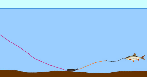 Ловля на живца донкой