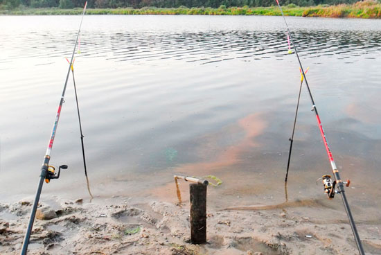 Ловля леща на донки