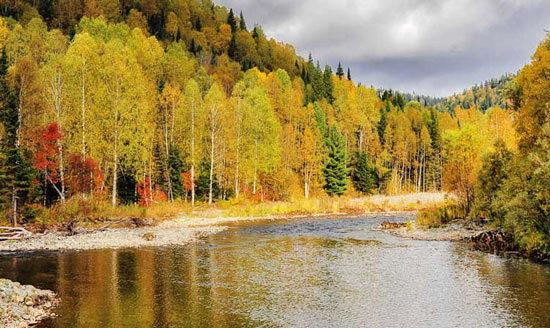 Горная река