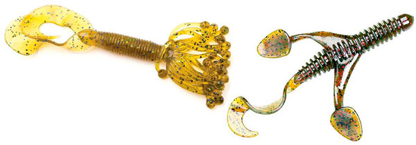 Гибриды каракатицы