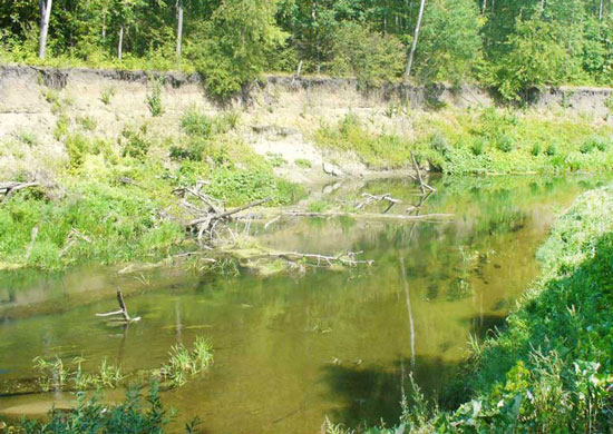 Коряжник на реке