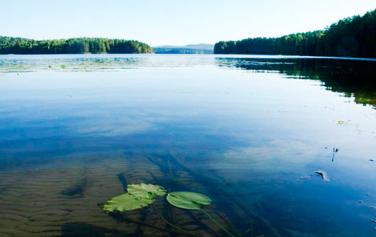 Отмель на озере