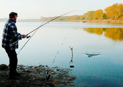 Лов леща осенью