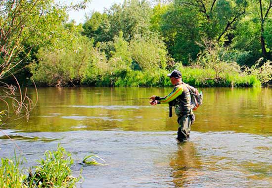 Рыбалка на голавля