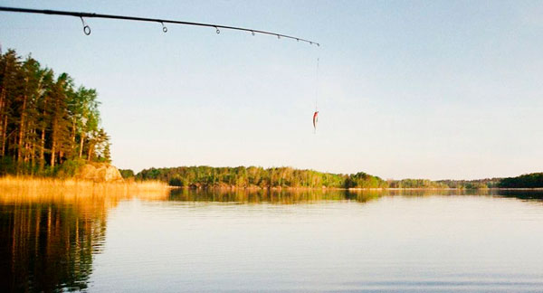 На спиннинг