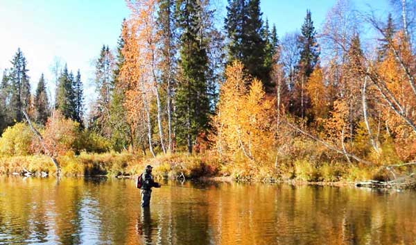 Ловля спиннингом окуня
