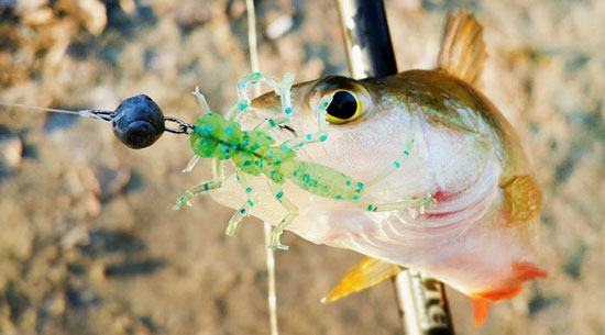 Каракатица микроджиг приманка