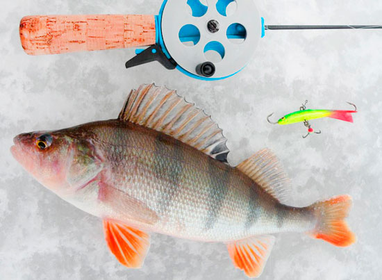 Зимняя ловля окуня