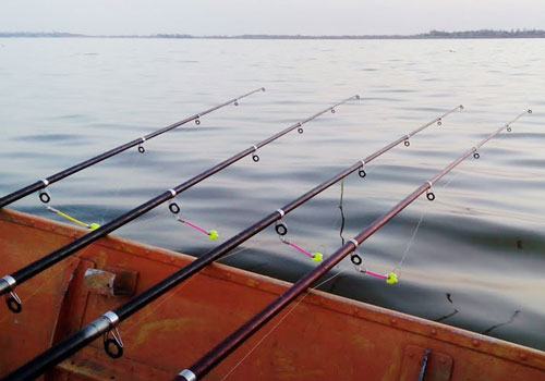 Ловля окуня на донные удочки