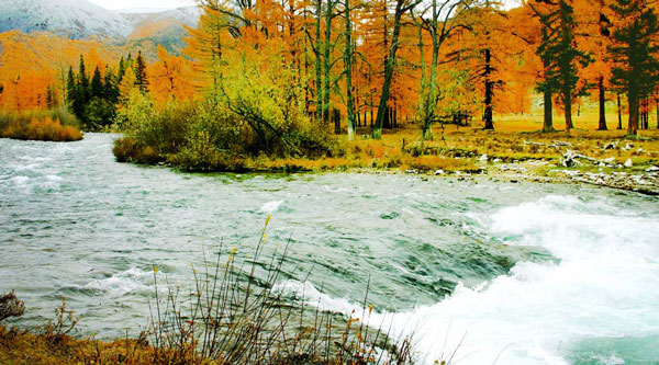 Перекат на реке