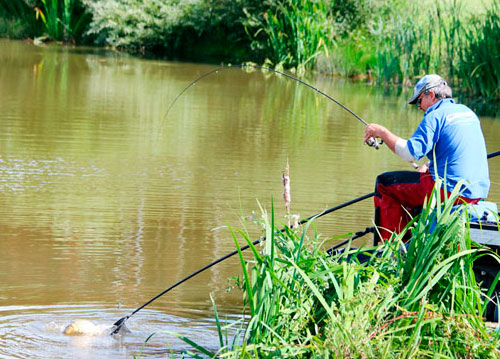 Летняя ловля трофейного леща