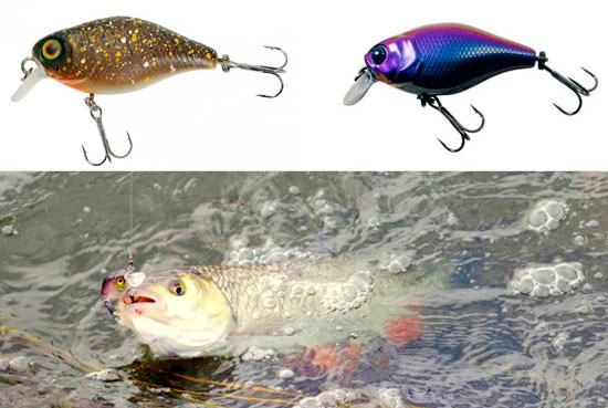 Воблеры кренки на голавля