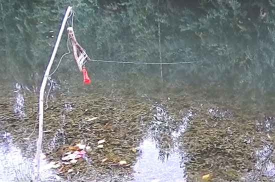 Рыбалка на щуку летняя жерлица