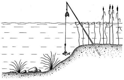Установка жерлицы на щуку
